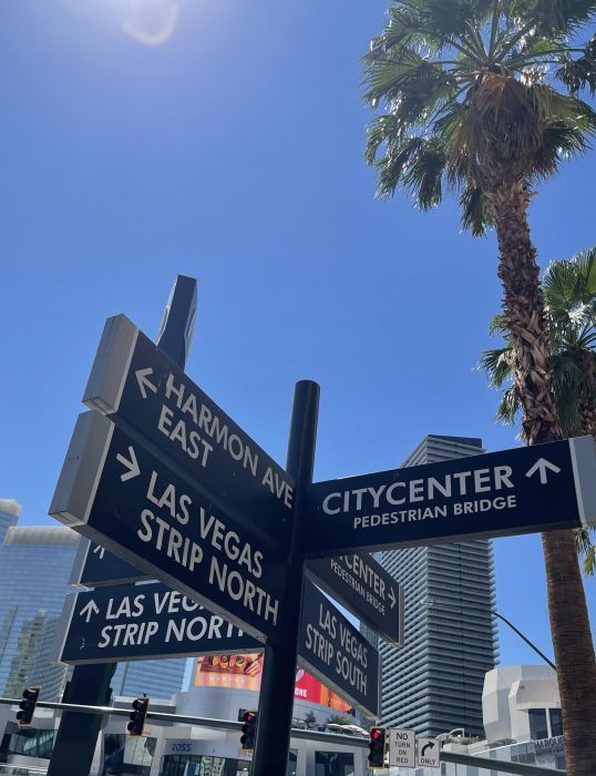 Vegas23_284329.JPG