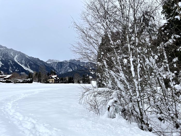 ramsau2024_287729.jpg