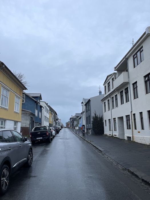 reykjavik25_281129.JPG