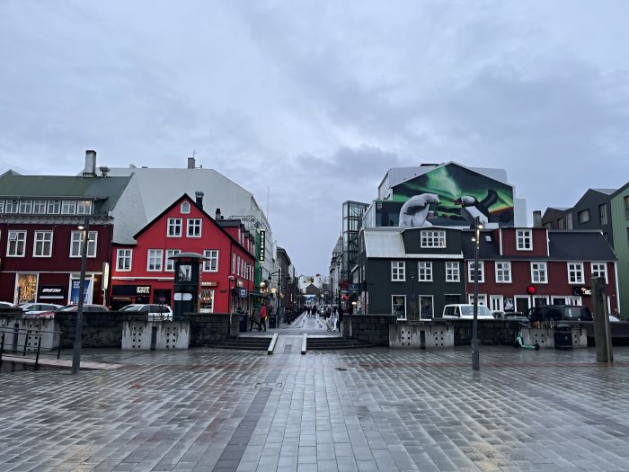 reykjavik25_283129.JPG