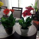 Název souboru=IMG_3264~1.JPG
Velikost souboru=2475KB
Rozměry=2921x2921
Datum přidání=15. Prosinec 2017 IMG_3264~1.JPG