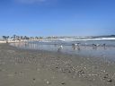 santa_monica_23_2818329.JPG