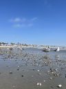 santa_monica_23_2818429.JPG